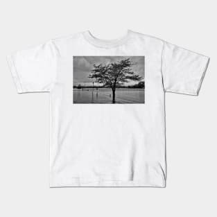 STL Flood Study 1 Kids T-Shirt